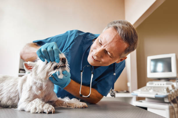 Best Walk-In Emergency Dentist in Luling, LA